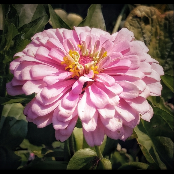 Meet your Posher, Karla - Picture 6 of 11